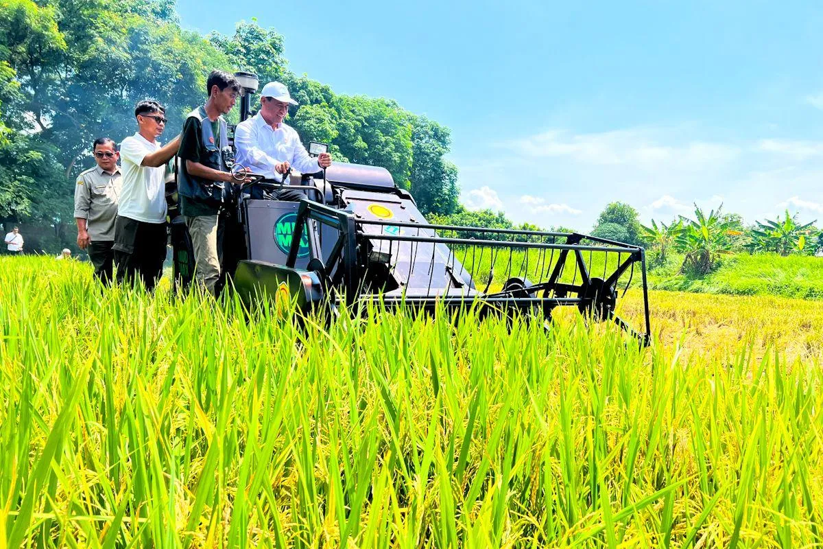 Berita Terkini: Angka Tetap BPS: Produksi Padi 2026 hingga Agustus Capai 43,89 Juta Ton