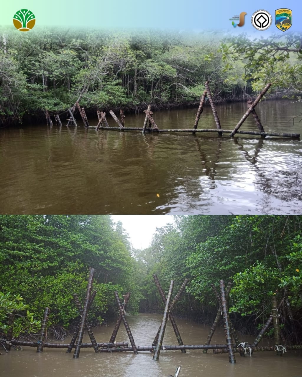 Muara Sungai di Semenanjung Ujung Kulon Ditutup