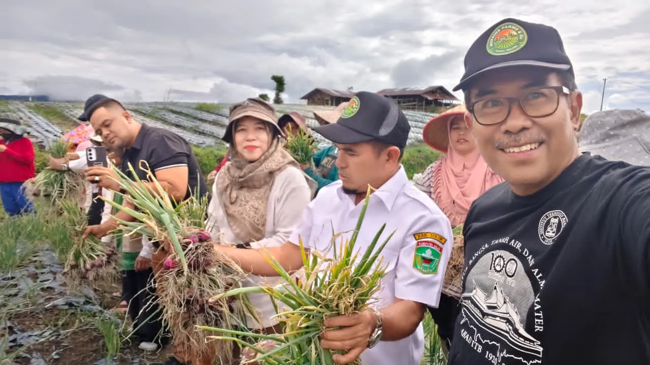 Petani Bawang Merah Solok Sudah Ciptakan Perputaran Ekonomi Rp6 Triliun