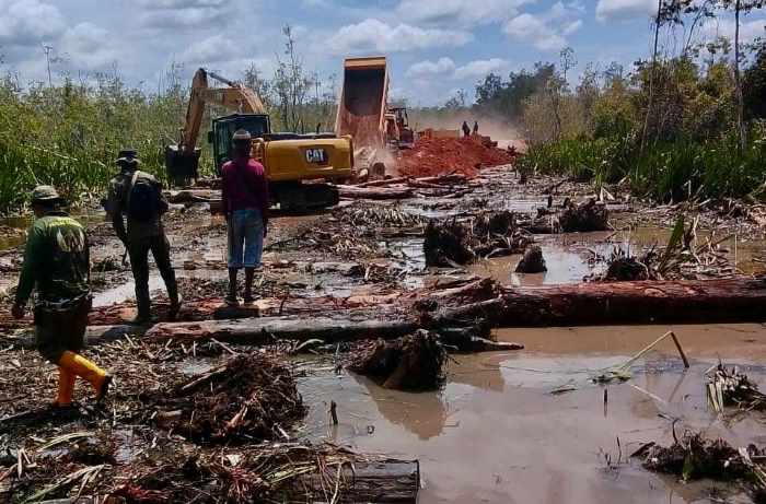Aktivis Desak Pemerintah Serius Akui 1,4 juta Hektar Hutan Adat