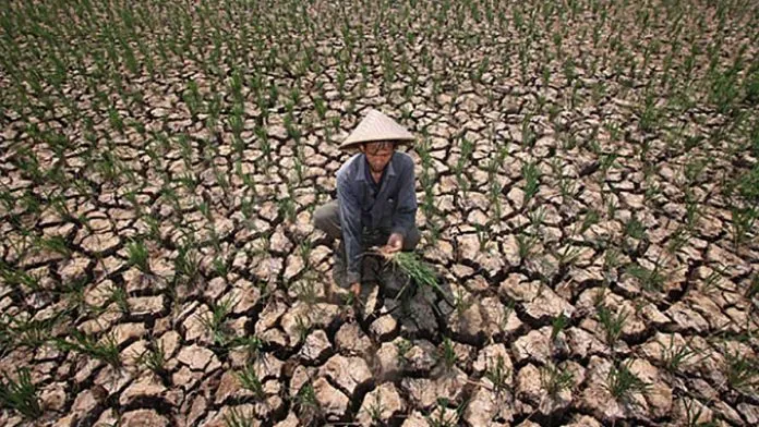Organisasi Meteorologi Dunia Peringatkan Peluang Terjadinya El Nino Dalam Waktu Dekat