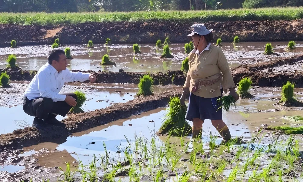 Berita Terkini: Dikira Orang Lewat, Ternyata Mentan Amran, Curhat Petani Semarang Berbuah Traktor