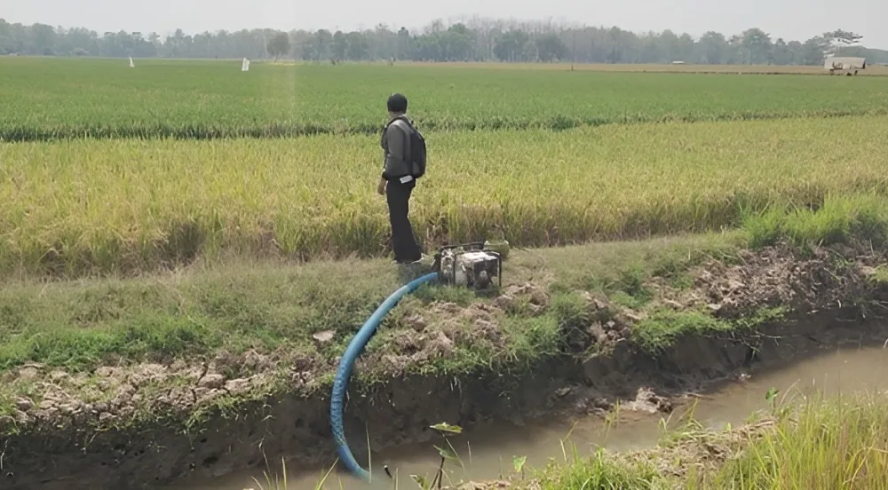 Saat Kekeringan Mengintai, Ini Jurus Pamungkas Kementan Gasak El Nino