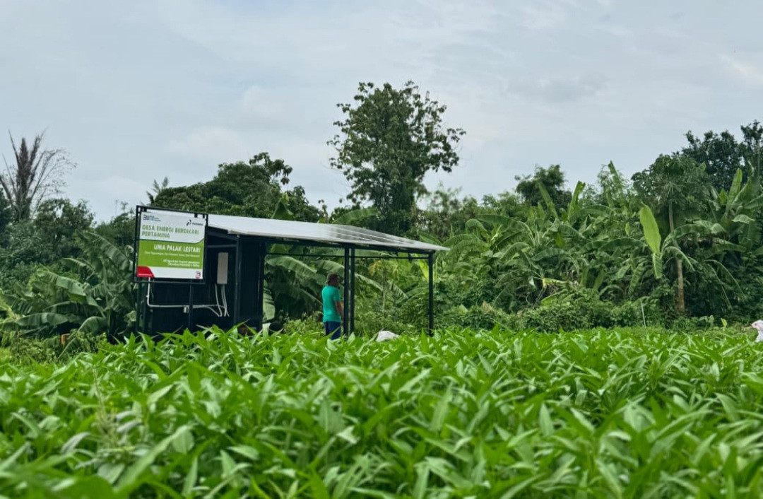 Potret Nyata Pertamina Menginisiasi Swasembada Energi Berbasis Desa