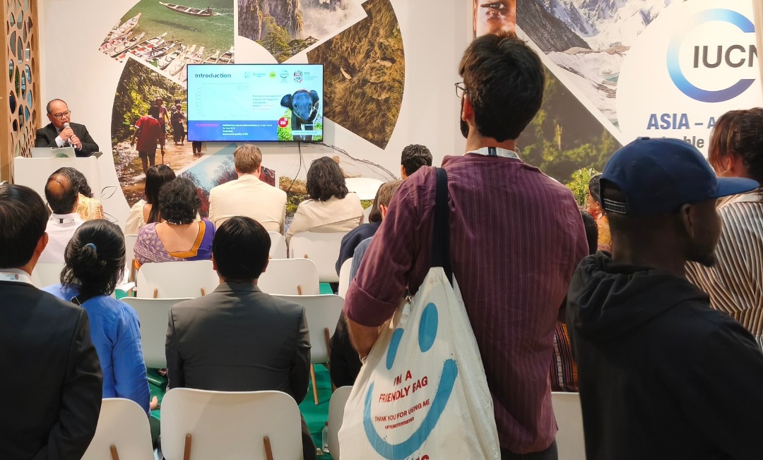 Belantara Foundation Dorong Koeksistensi Manusia-Gajah di IUCN World Conservation Congress 
