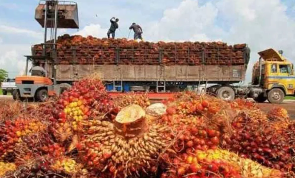 Kementan: Hilirisasi CPO Perkuat Ekonomi Nasional dan Dorong Kemandirian Energi Berbasis Nabati