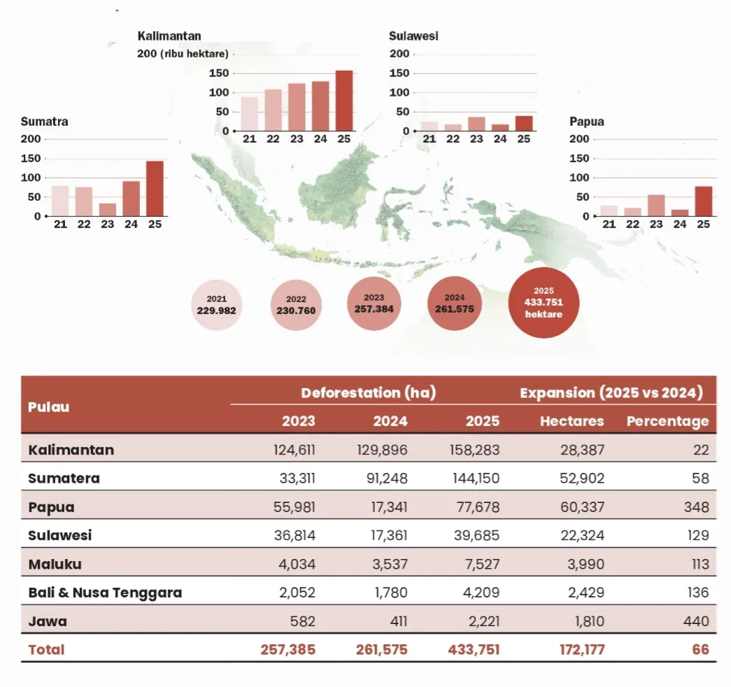 Deforestasi Melonjak, Pemerintah Mesti Terbitkan Regulasi yang Melindungi Seluruh Hutan Alam Tersisa