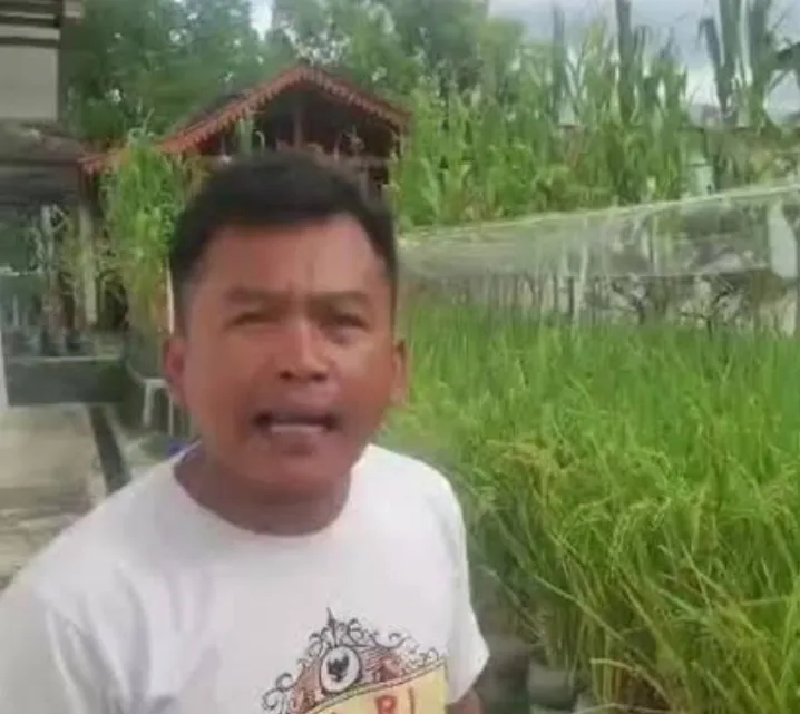 Bermodal Galon Air Mineral, Kepala Kampung di Gunungkidul Ini Sulap Pekarangan Rumah Jadi Sawah Mini