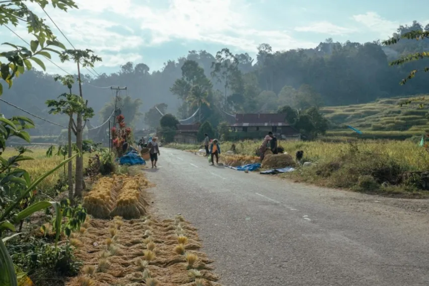 Berita Terkini: Wilayah Adat Balusu, Lokasi Sarasehan KMAN VII yang Kental Tradisi Warisan Leluhur