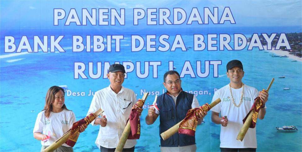 Dari Pesisir Nusa Lembongan, PLN Bangun Kemandirian Ekonomi Melalui Rumput Laut