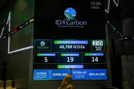 Langkah Besar Menuju Pasar Karbon Global