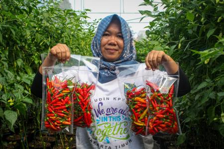 Surplus Perdagangan Beruntun Dimotori Industri Agro dan Manufaktur