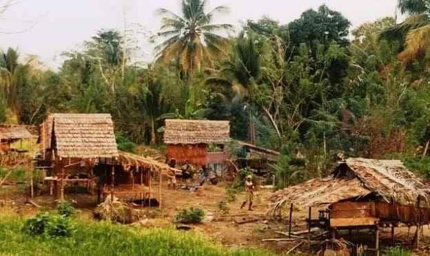 Masyarakat Adat Suku Taa Mendesak Perusahaan Sawit Tinggalkan Wilayah Adat di Sulawesi Tengah