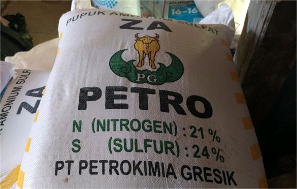 Mulai September 2025, Petani Tebu Bisa Tebus Pupuk ZA Bersubsidi