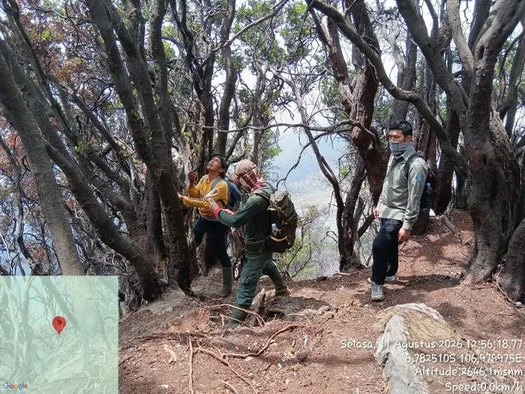 Berita Terkini: Titik Api Kembali Muncul di Kawah Wadon Gunung Gede, BBTNGGP Kerahkan Petugas Gabungan