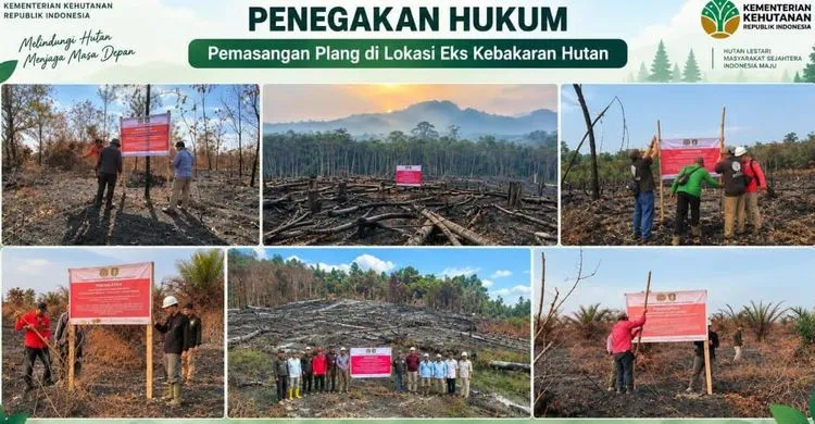 Berita Terkini: Kemenhut Usut 31 Kasus Karhutla, Sanksi Tegas Menanti