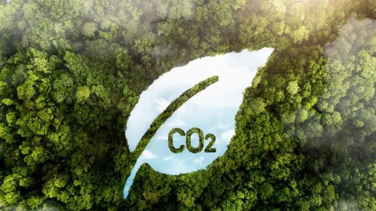 Perdagangan Karbon OJK–BEI: Komodifikasi Hutan Adat dan Konflik Kepentingan