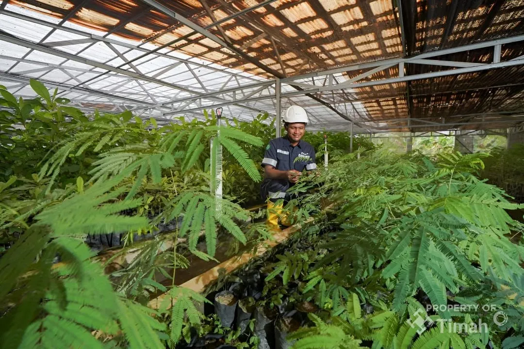 Grup MIND ID Reklamasi 8.000 Hektare Lahan dan Rehabilitasi DAS 37.700 Hektare