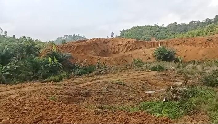 Anak Perusahaan Sinarmas Group Kembali Gusur Tanah Petani di Tebo