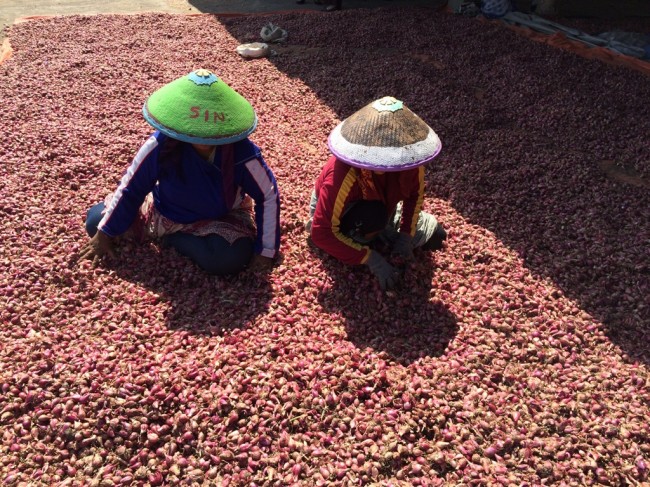 ESDM Siapkan Bantuan Elpiji 3 Kg untuk Petani