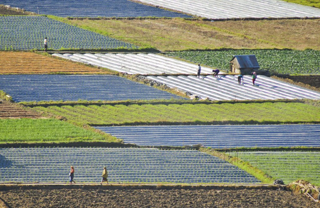 Dana Desa Tak Naik pada 2018 dan Berfokus ke Pemberdayaan