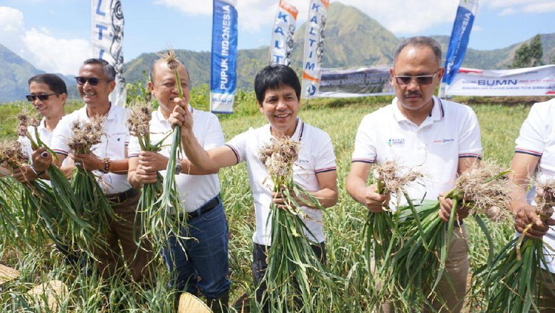 Pakai Teknologi Ini, Produksi Bawang Putih Bisa Meningkat