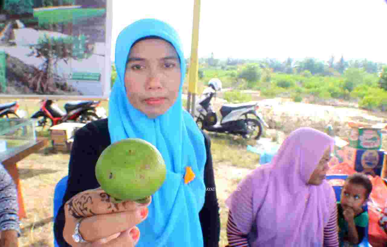 Begini Perempuan Pesisir Langkat Memanfaatkan Sekaligus Menjaga Hutan Mangrove