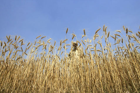 Ada Roadmap Percepatan, Bioteknologi Bisa Berlari Kencang