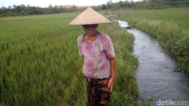 Kementan Cari Inovasi Baru Pertanian, Berhadiah Total Rp 3 Miliar