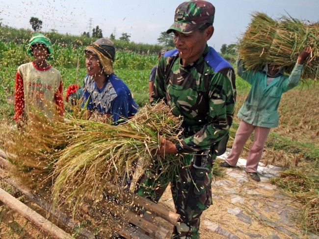 Ketahanan Pangan Ciptaan Kementan-TNI Diklaim Sudah Membuahkan Hasil