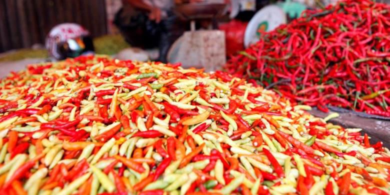 Tingkatkan Harga, Kementan Dorong Program Kemitraan Petani Cabai
