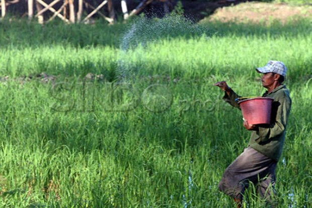 ReIde Indonesia: Bangun Kedaulatan Pangan Berbasis Kearifan Lokal