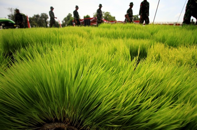 Hari Tani, Petani Semakin Menderita