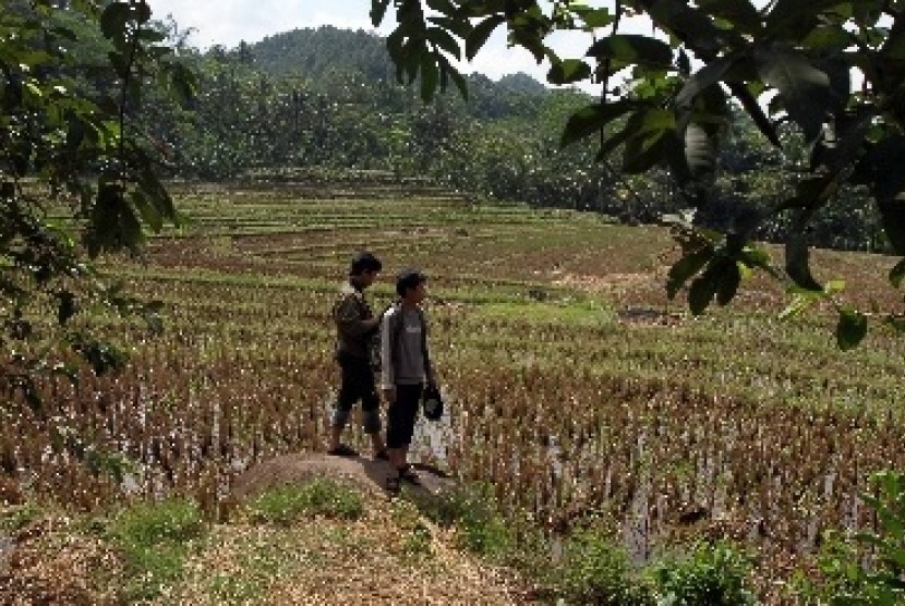 Pertanian Bukan Hanya Urusan Petani