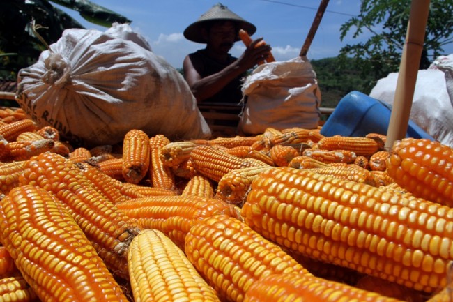 Kementan Pastikan Data Pangan Selaras dengan BPS