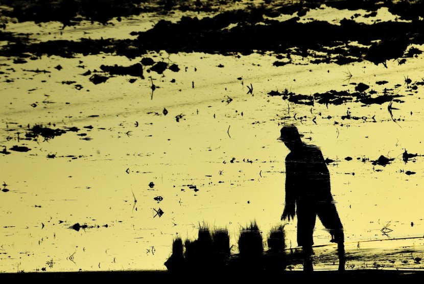 Petani di Tengah Sistem Ekonomi yang tidak Adil