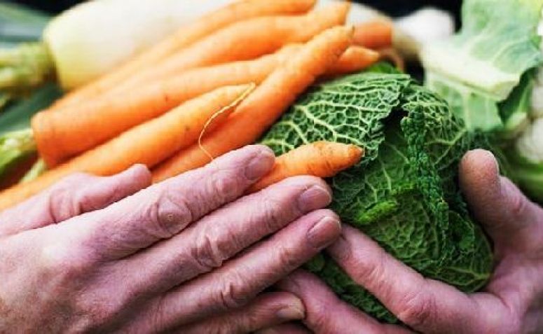 Hari Pangan Sedunia, Sejarah dan Upaya Eliminasi Kelaparan