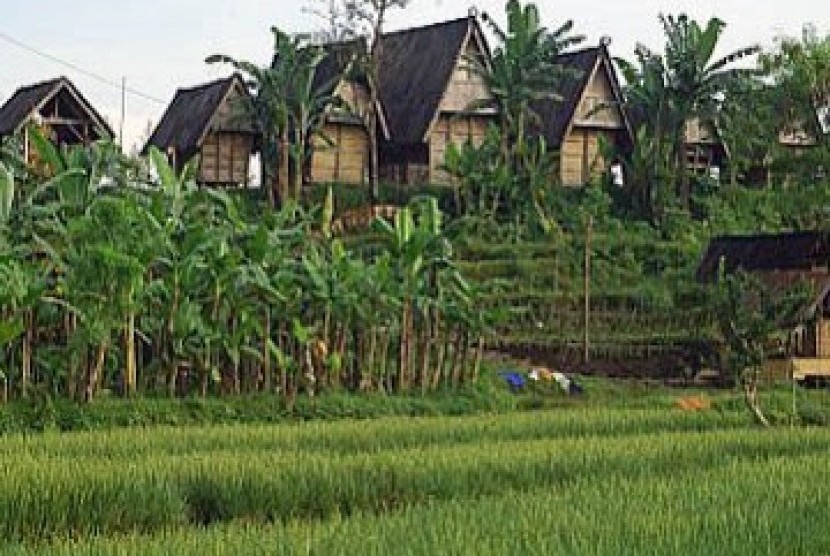 FAO Ingatkan Indonesia Soal Investasi di Pedesaan