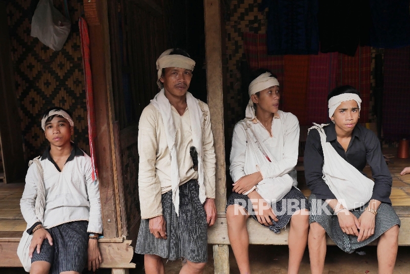 Petani Baduy Tanam Albasia Sebagai Tabungan Masa Depan