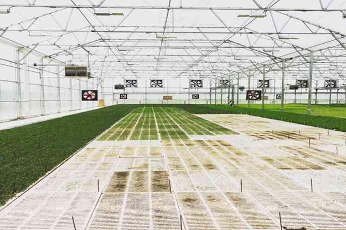 Ini Metode Bercocok Tanam yang Cocok untuk Generasi Milenial