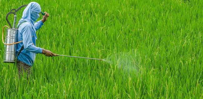 Pertanian Butuh Densus Anti Hama