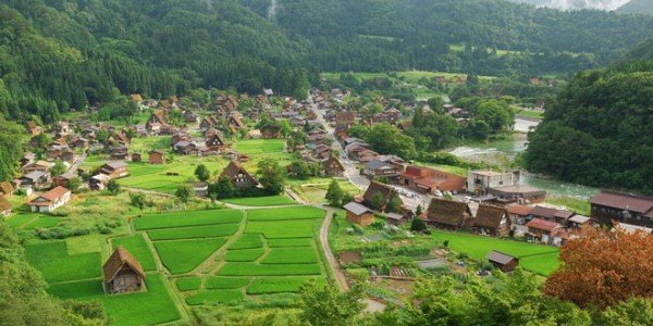 Optimalisasi Dana Desa Bisa Serap Tenaga Kerja di Tiap Desa