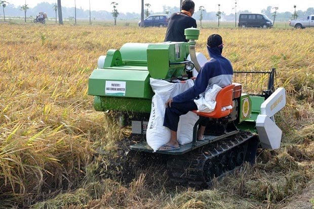 Menjaga Kenaikan Produksi Pertanian di Tengah Perubahan Iklim