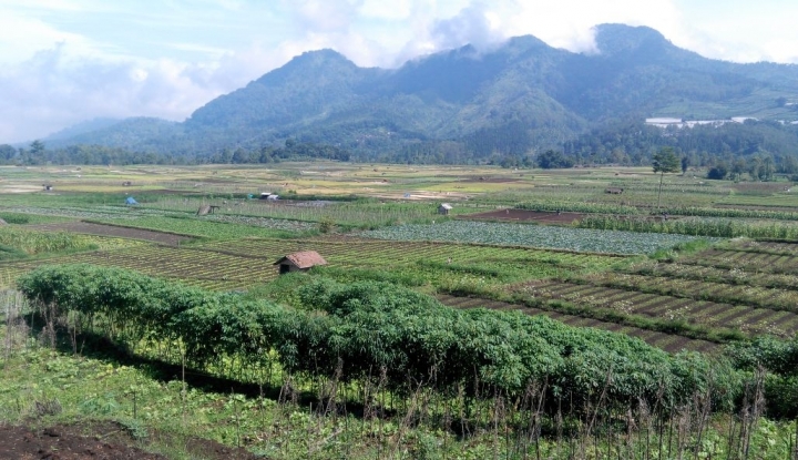 Peta yang Akurat, Jadi Aspek Penting Pengelolaan Gambut