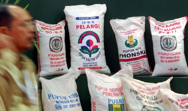 Petani Minta Distribusi Pupuk Bersubsidi Dipercepat