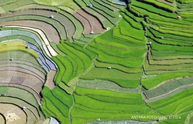 Realisasi cetak sawah diklaim naik 400% sejak 2014