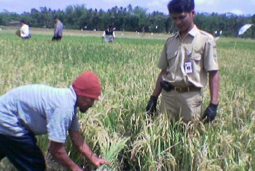 Balitbangtan Sebarkan Inovasi Teknologi