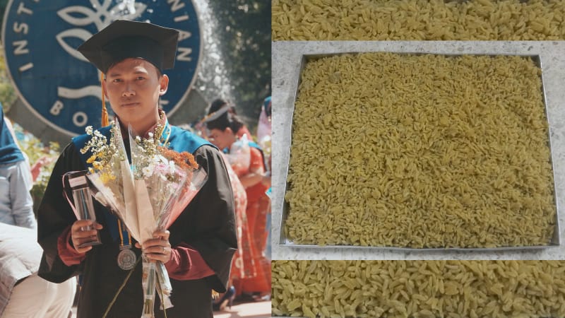 Mahasiswa IPB Ciptakan Beras Tiruan Menyehatkan, Kadar Gula Rendah 