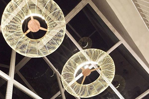 Pemanfaatan Bambu Bisa Jadi Solusi Perubahan Iklim