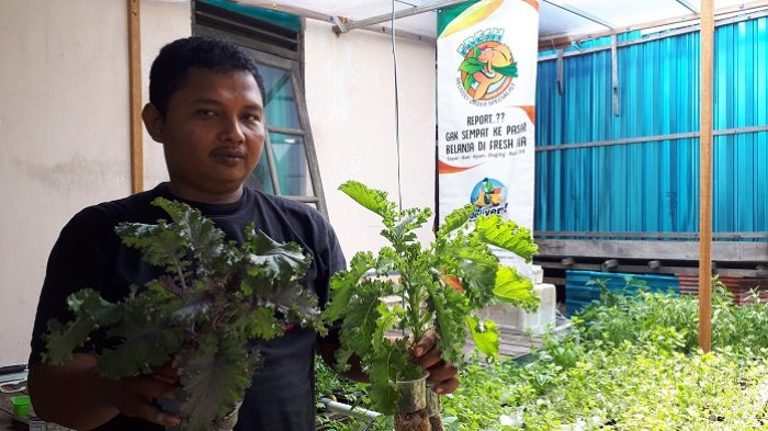 Era Digital, Pedagang Sayur Pun Jualan Online, Ini Sistem Harga yang Diterapkan